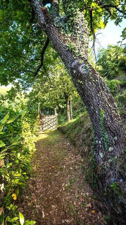 Gabriella'S Romantic Cottage Pistoia 0*,  Italy